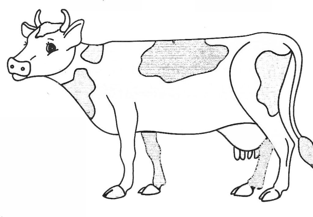 Dessin à colorier: Vache (Animaux) #13227 - Coloriages à Imprimer Gratuits