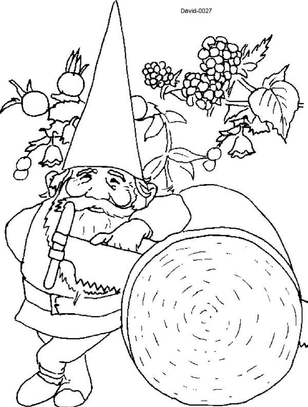 Dessin à colorier: David le Gnome (Dessins Animés) #51261 - Coloriages à Imprimer Gratuits