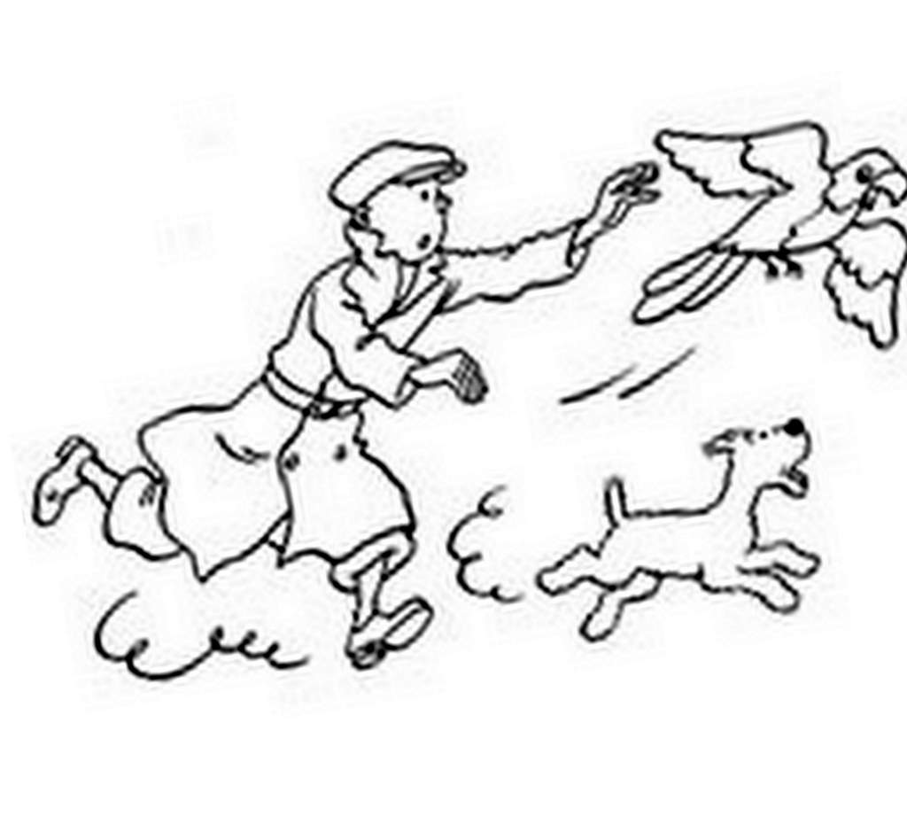 Dessin à colorier: Tintin (Dessins Animés) #25752 - Coloriages à Imprimer Gratuits