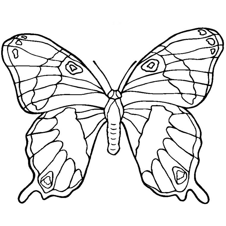 Dessin à colorier: Mandalas Papillon (Mandalas) #117396 - Coloriages à Imprimer Gratuits