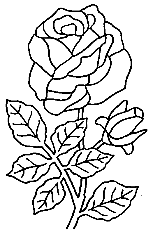 Dessin à colorier: Bouquet de fleurs (Nature) #160738 - Coloriages à Imprimer Gratuits
