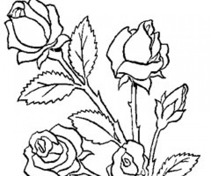 Dessin à colorier: Bouquet de fleurs (Nature) #160747 - Coloriages à Imprimer Gratuits