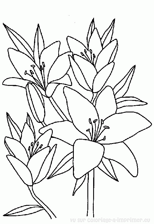 Dessin à colorier: Bouquet de fleurs (Nature) #160788 - Coloriages à Imprimer Gratuits