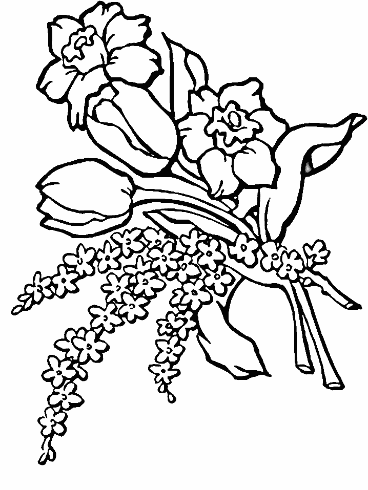 Dessin à colorier: Bouquet de fleurs (Nature) #160790 - Coloriages à Imprimer Gratuits