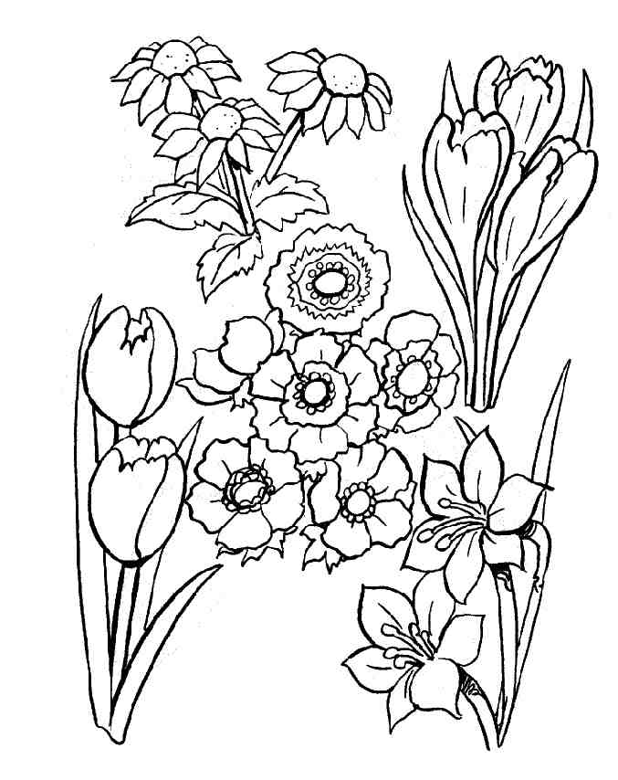 Dessin à colorier: Bouquet de fleurs (Nature) #160855 - Coloriages à Imprimer Gratuits
