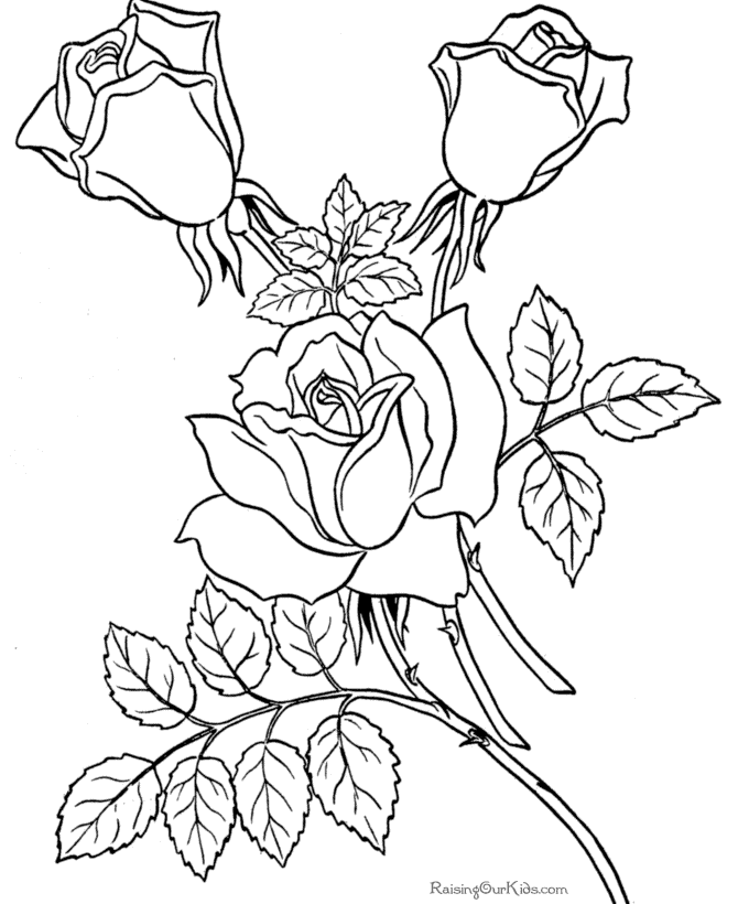 Dessin à colorier: Bouquet de fleurs (Nature) #161085 - Coloriages à Imprimer Gratuits