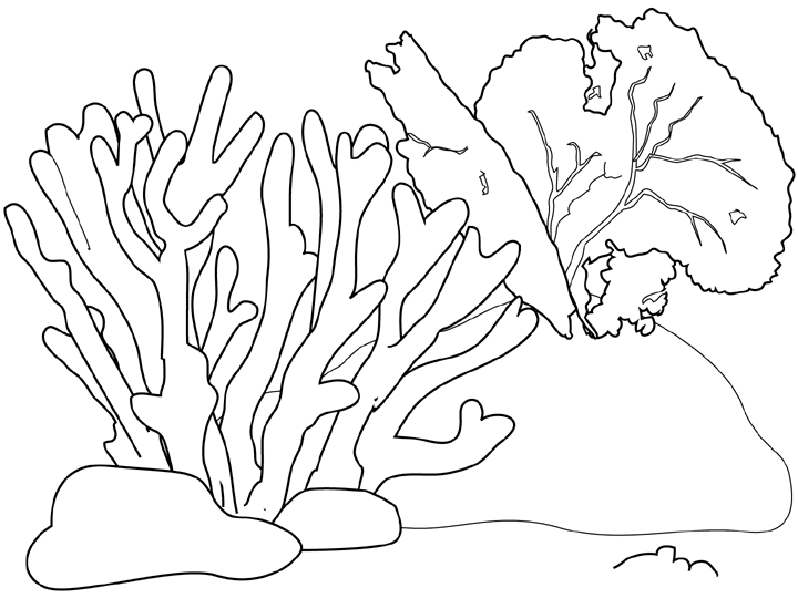 Dessin à colorier: Corail (Nature) #162779 - Coloriages à Imprimer Gratuits