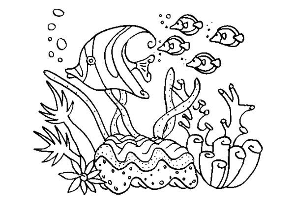 Dessin à colorier: Corail (Nature) #162895 - Coloriages à Imprimer Gratuits