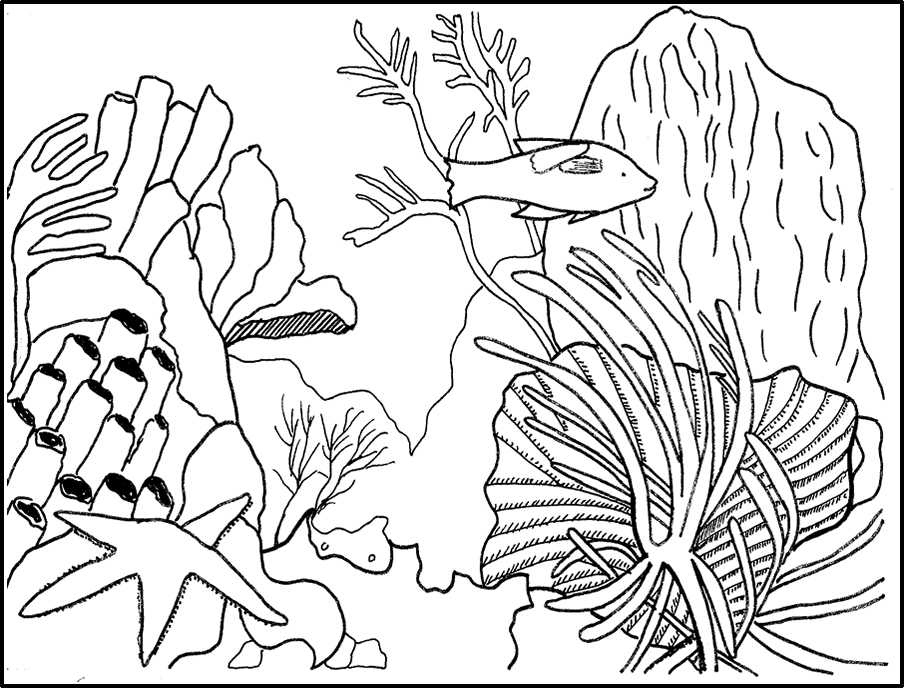 Dessin à colorier: Corail (Nature) #162899 - Coloriages à Imprimer Gratuits
