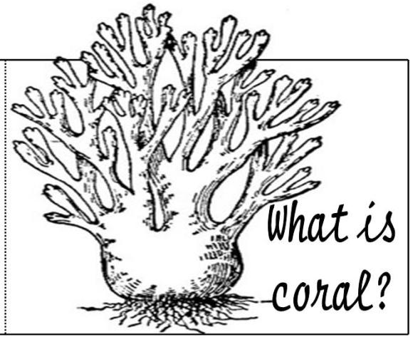 Dessin à colorier: Corail (Nature) #162907 - Coloriages à Imprimer Gratuits