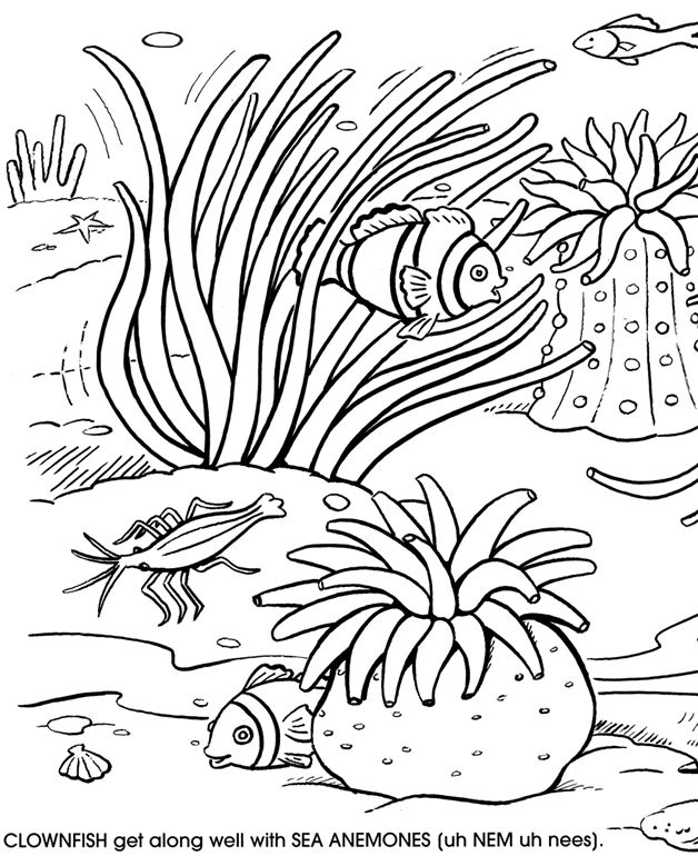 Dessin à colorier: Corail (Nature) #162920 - Coloriages à Imprimer Gratuits