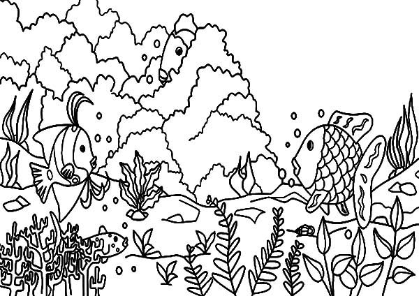 Dessin à colorier: Corail (Nature) #162963 - Coloriages à Imprimer Gratuits
