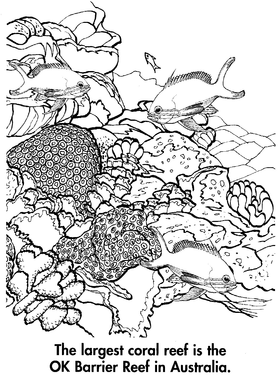 Dessin à colorier: Corail (Nature) #162971 - Coloriages à Imprimer Gratuits