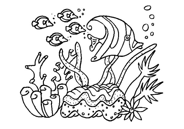Dessin à colorier: Corail (Nature) #162991 - Coloriages à Imprimer Gratuits