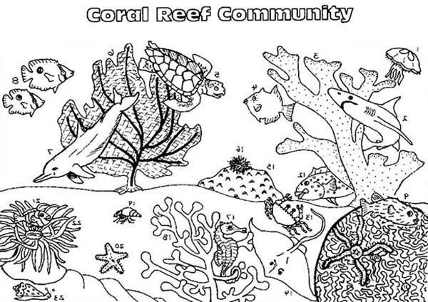 Dessin à colorier: Corail (Nature) #163000 - Coloriages à Imprimer Gratuits