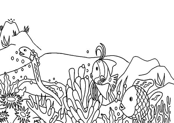 Dessin à colorier: Corail (Nature) #163014 - Coloriages à Imprimer Gratuits