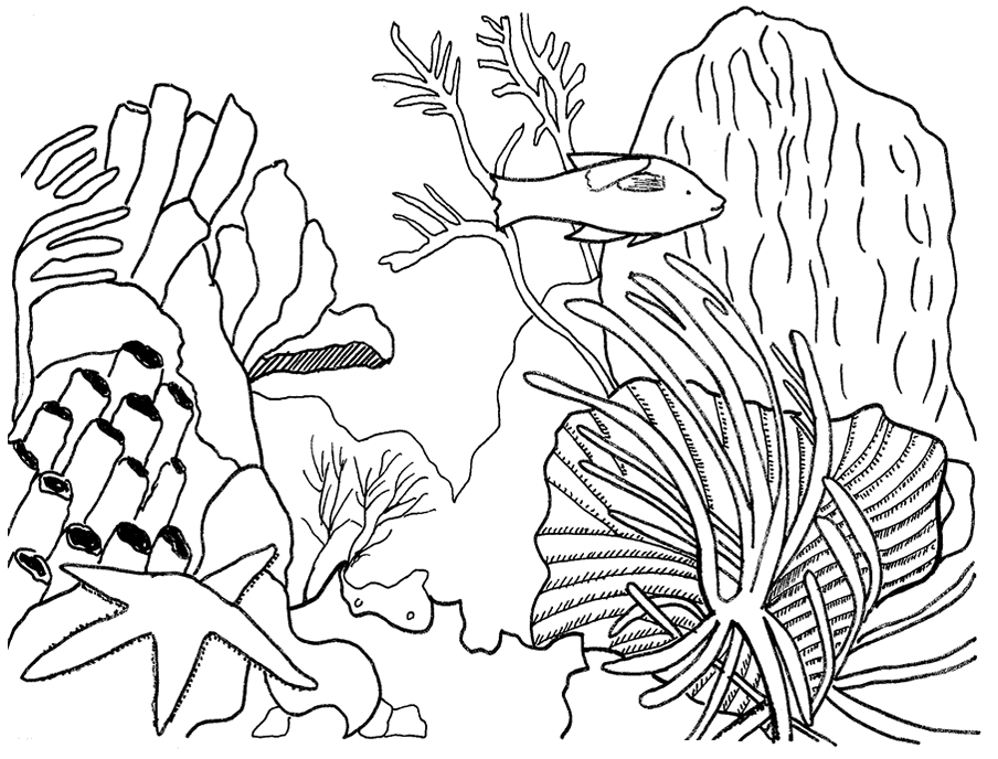 Dessin à colorier: Corail (Nature) #163034 - Coloriages à Imprimer Gratuits
