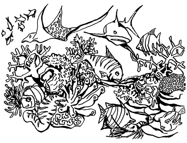 Dessin à colorier: Corail (Nature) #163066 - Coloriages à Imprimer Gratuits