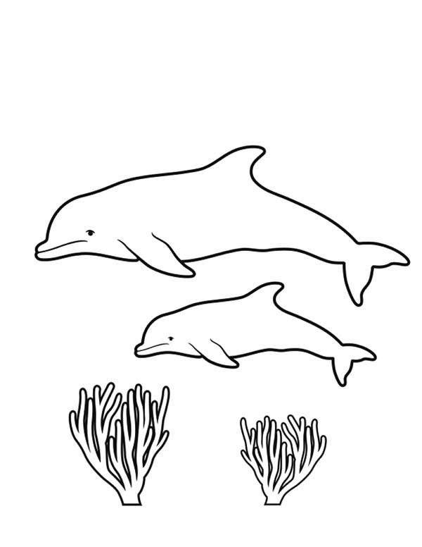 Dessin à colorier: Corail (Nature) #163092 - Coloriages à Imprimer Gratuits