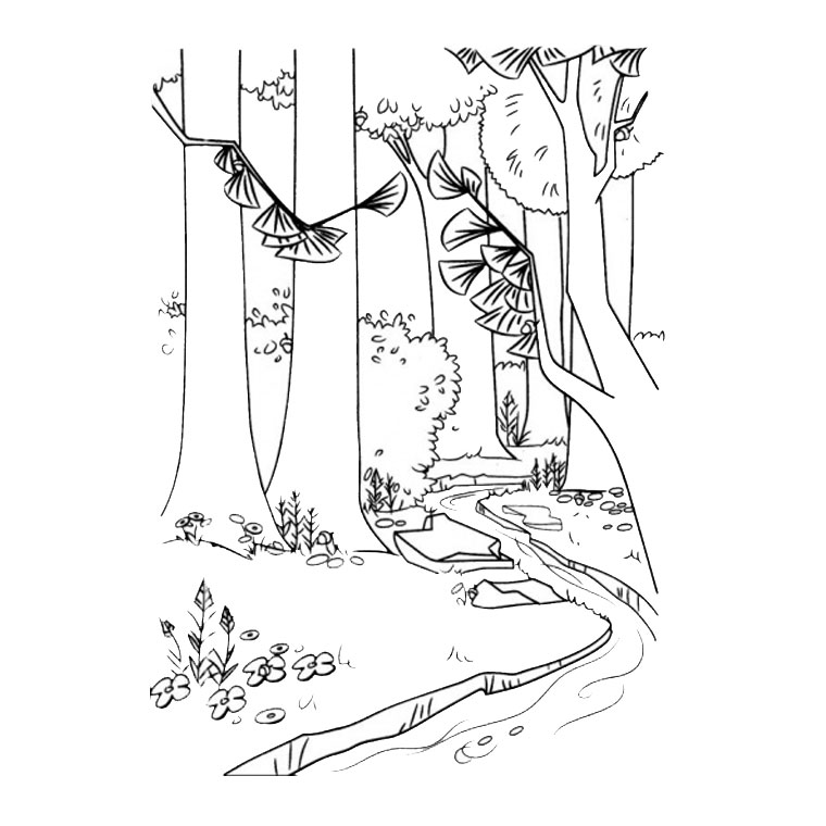 Dessin à colorier: Forêt (Nature) #157000 - Coloriages à Imprimer Gratuits