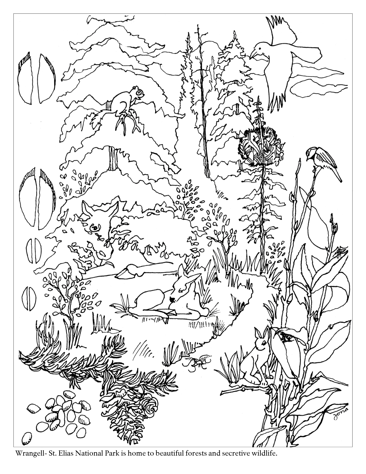 Dessin à colorier: Forêt (Nature) #157007 - Coloriages à Imprimer Gratuits