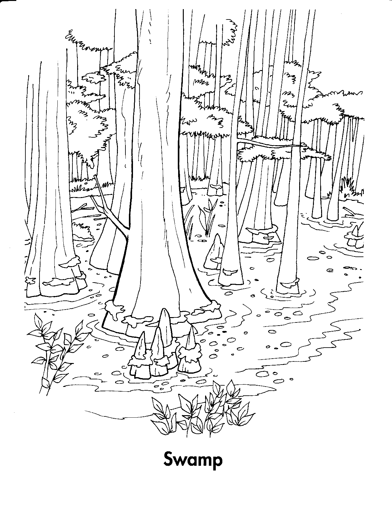 Dessin à colorier: Forêt (Nature) #157057 - Coloriages à Imprimer Gratuits