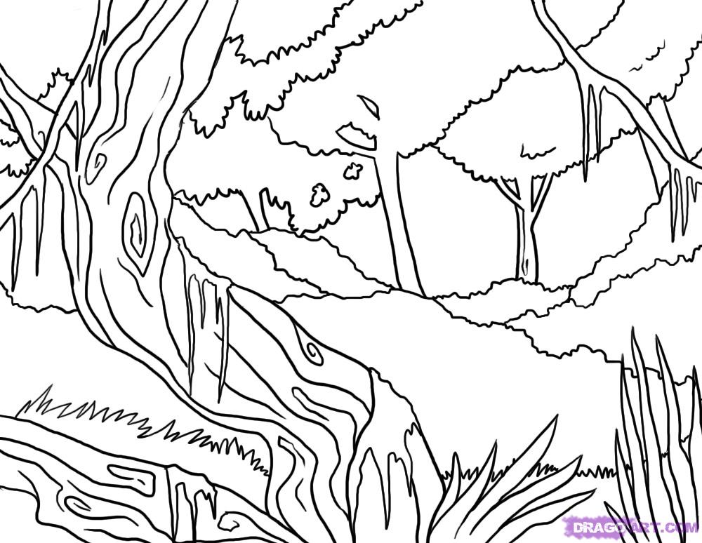 Dessin à colorier: Forêt (Nature) #157202 - Coloriages à Imprimer Gratuits