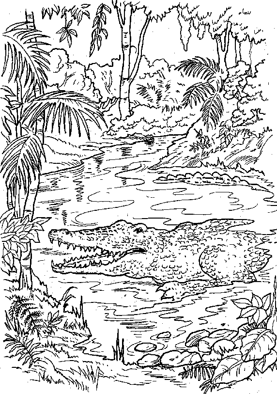 Dessin à colorier: Forêt (Nature) #157236 - Coloriages à Imprimer Gratuits