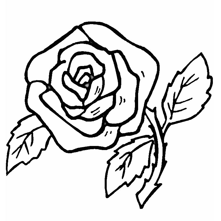 Dessin à colorier: Roses (Nature) #161870 - Coloriages à Imprimer Gratuits