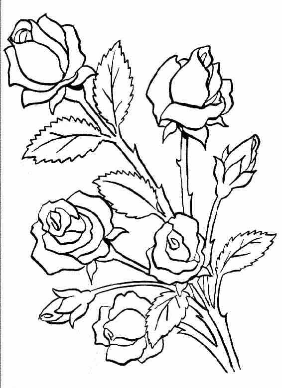Dessin à colorier: Roses (Nature) #161886 - Coloriages à Imprimer Gratuits