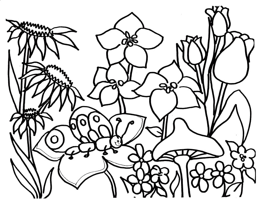 Dessin à colorier: Saison Printemps (Nature) #164766 - Coloriages à Imprimer Gratuits
