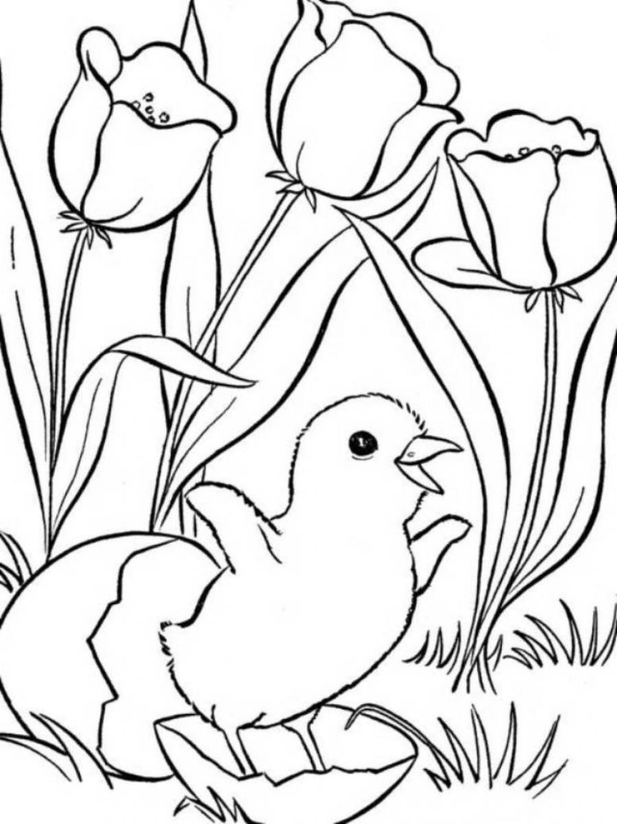 Dessin à colorier: Saison Printemps (Nature) #164796 - Coloriages à Imprimer Gratuits