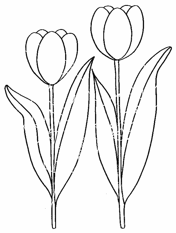 Dessin à colorier: Tulipe (Nature) #161614 - Coloriages à Imprimer Gratuits