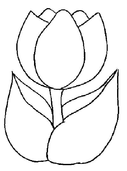 Dessin à colorier: Tulipe (Nature) #161621 - Coloriages à Imprimer Gratuits