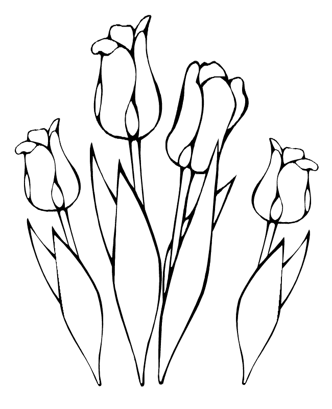 Dessin à colorier: Tulipe (Nature) #161632 - Coloriages à Imprimer Gratuits