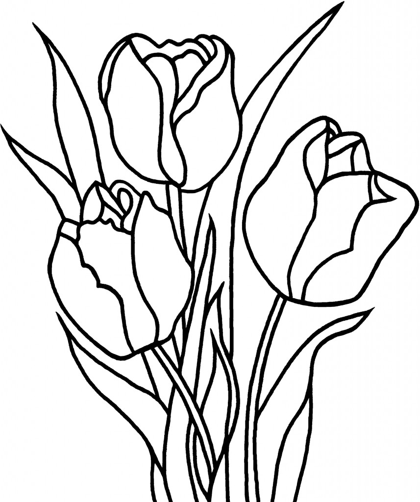 Dessin à colorier: Tulipe (Nature) #161634 - Coloriages à Imprimer Gratuits