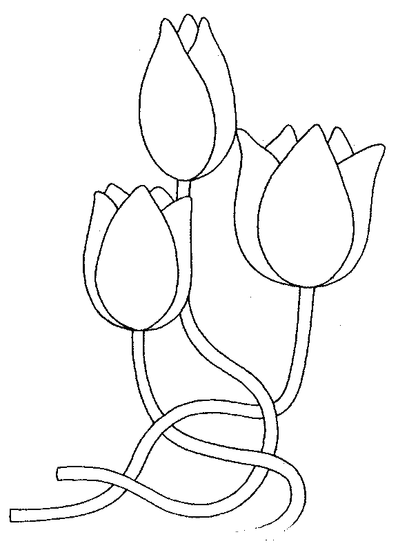 Dessin à colorier: Tulipe (Nature) #161639 - Coloriages à Imprimer Gratuits