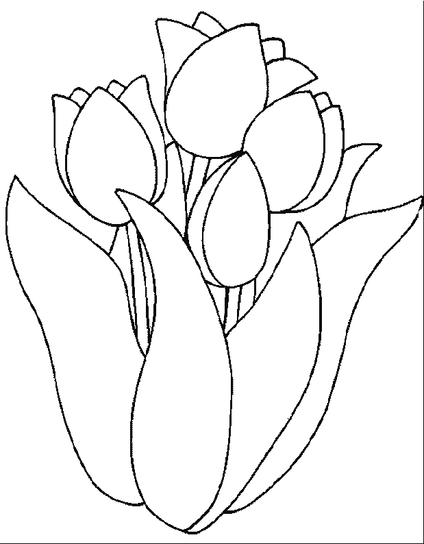 Dessin à colorier: Tulipe (Nature) #161642 - Coloriages à Imprimer Gratuits