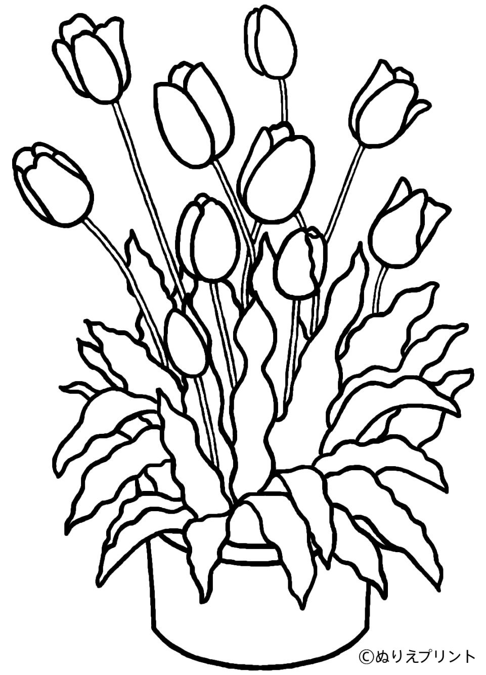 Dessin à colorier: Tulipe (Nature) #161649 - Coloriages à Imprimer Gratuits