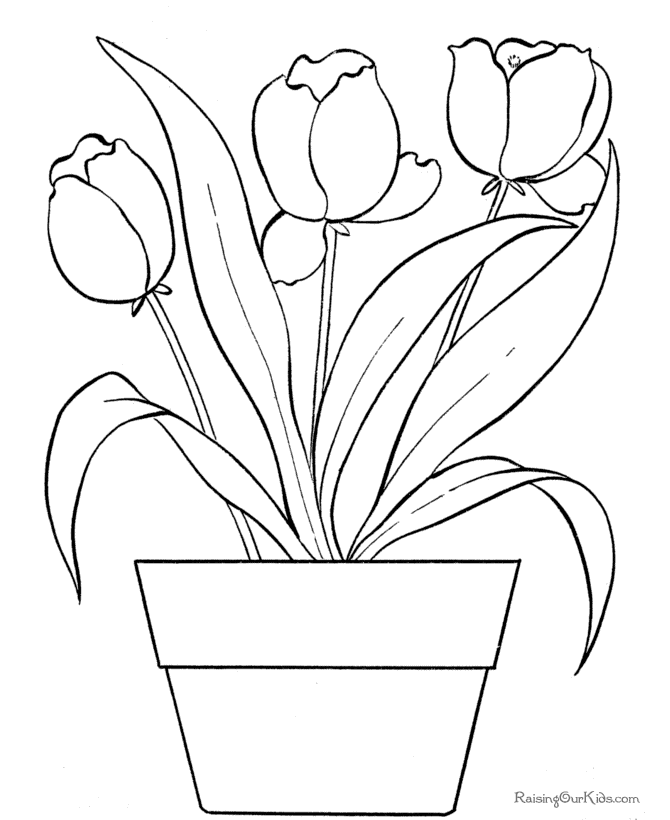 Dessin à colorier: Tulipe (Nature) #161661 - Coloriages à Imprimer Gratuits