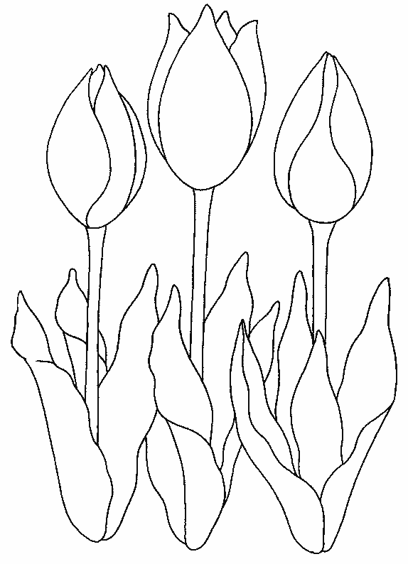 Dessin à colorier: Tulipe (Nature) #161674 - Coloriages à Imprimer Gratuits