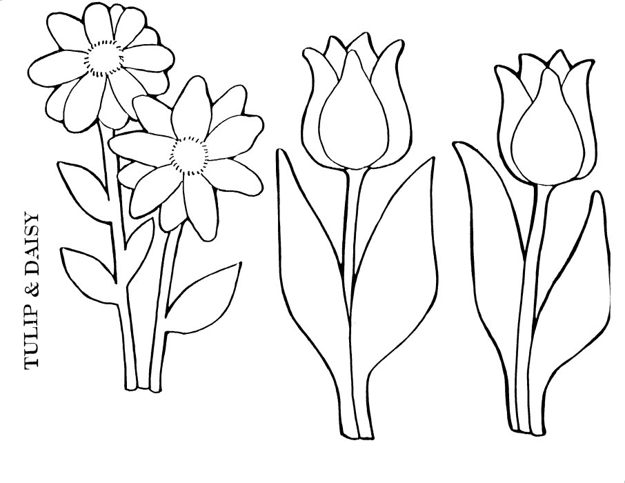 Dessin à colorier: Tulipe (Nature) #161704 - Coloriages à Imprimer Gratuits
