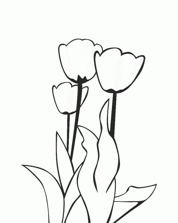 Dessin à colorier: Tulipe (Nature) #161707 - Coloriages à Imprimer Gratuits