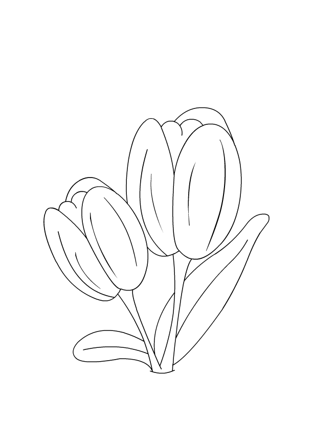 Dessin à colorier: Tulipe (Nature) #161756 - Coloriages à Imprimer Gratuits