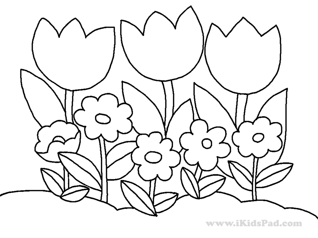 Dessin à colorier: Tulipe (Nature) #161758 - Coloriages à Imprimer Gratuits