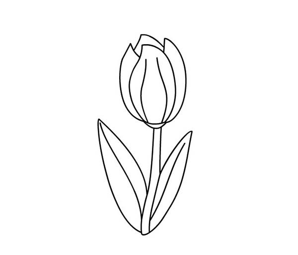 Dessin à colorier: Tulipe (Nature) #161767 - Coloriages à Imprimer Gratuits