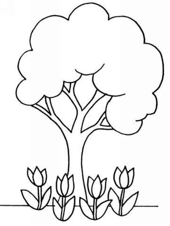 Dessin à colorier: Tulipe (Nature) #161772 - Coloriages à Imprimer Gratuits