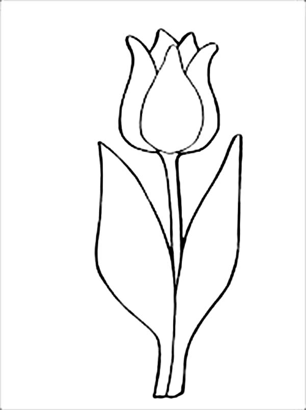 Dessin à colorier: Tulipe (Nature) #161791 - Coloriages à Imprimer Gratuits