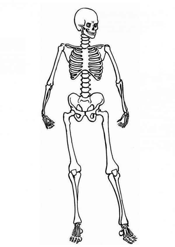 Dessin à colorier: Squelette (Personnages) #147428 - Coloriages à Imprimer Gratuits