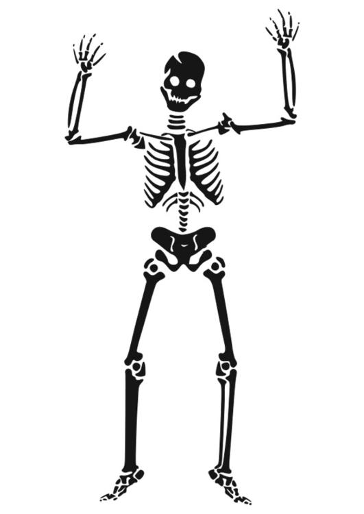 Dessin à colorier: Squelette (Personnages) #147441 - Coloriages à Imprimer Gratuits